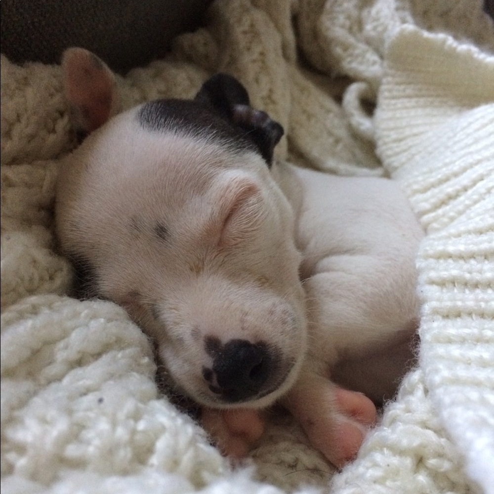 Meet your Posher, Vaneza